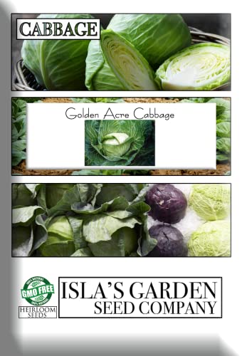 Golden Acre Cabbage Seeds for Planting, 500+ Heirloom Seeds Per Packet, (Isla's Garden Seeds), Non GMO Seeds, Botanical Name: Brassica oleracea