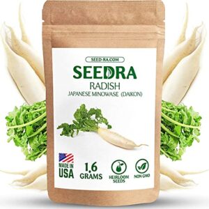 seedra.us japanese minowase daikon radish seeds for indoor and outdoor planting – non gmo and heirloom seeds – 100 seeds – white radishes for home vegetable garden