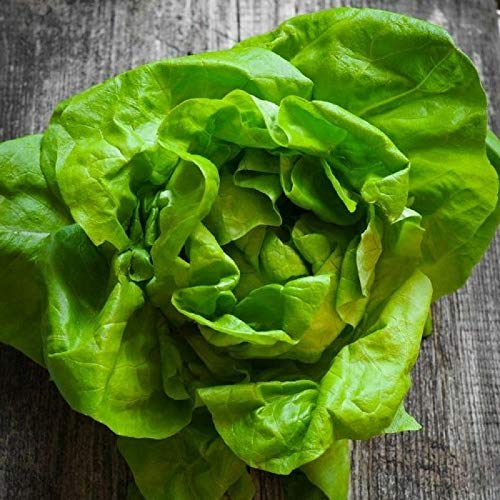 Tom Thumb Butterhead Lettuce Seeds - 100 Count Seed Pack - Non-GMO - The Perfect Variety for Small Gardens, containers, and Raised beds. - Country Creek LLC