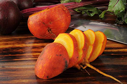 Golden Detroit Beet Seeds for Planting, 100+ Heirloom Seeds Per Packet, (Isla's Garden Seeds), Non GMO Seeds, Botanical Name: Beta vulgaris, Great Home Garden Gift