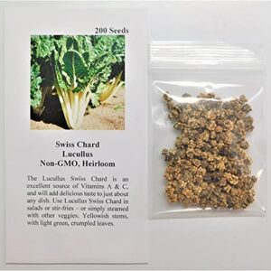 David's Garden Seeds Swiss Chard Lucullus 4356 (Multi) 200 Non-GMO, Heirloom Seeds