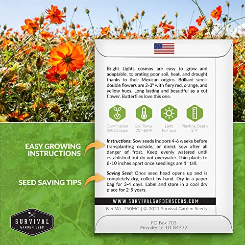 Survival Garden Seeds - Bright Lights Cosmos Seed for Planting - Packet with Instructions to Plant and Grow Cosmos Sulphureus in Your Home Flower or Vegetable Garden - Non-GMO Heirloom Variety