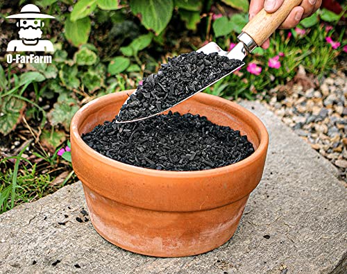 O-FarFarm Horticultural Charcoal for Potted Plants 1 QT, Hardwood Charcoal for Potting Soil Amendment, Orchids, Terrariums, and Gardening