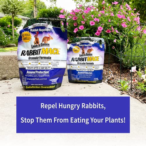 Nature's MACE Rabbit Repellent 30lb Granular/Treats 19,000 Sq. Ft. / Rabbit Repellent and Deterrent/Keep Rabbits Out of Your Lawn and Garden/Safe to use Around Children & Plants