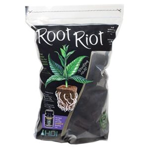 root riot replacement cubes – 50 cubes