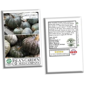 Jarradale Pumpkin Seeds for Planting, Pale Green Color, (Jarrahdale) 10 Heirloom Seeds, (Isla's Garden Seeds), Non GMO Seeds, Botanical Name: Cucurbita Maxima, Great Home Garden Gift