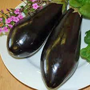 eggplant,black beauty eggplant seed, heirloom, non gmo, 25 seeds, vegetable