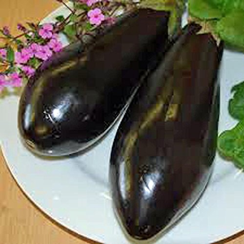 Eggplant,Black Beauty Eggplant Seed, Heirloom, Non GMO, 25 Seeds, Vegetable