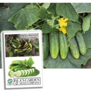 spacemaster cucumber seeds, 100+ heirloom seeds per packet, (isla’s garden seeds), non gmo seeds, botanical name: cucumis sativus, 85% germination rates