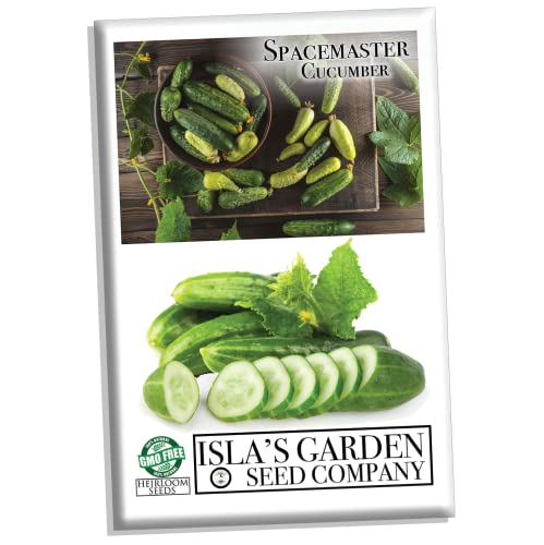 Spacemaster Cucumber Seeds, 100+ Heirloom Seeds Per Packet, (Isla's Garden Seeds), Non GMO Seeds, Botanical Name: Cucumis sativus, 85% Germination Rates