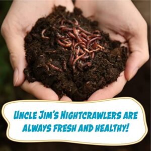 Uncle Jim's Worm Farm European Nightcrawlers Composting and Fishing Worms 1 Lb Pack