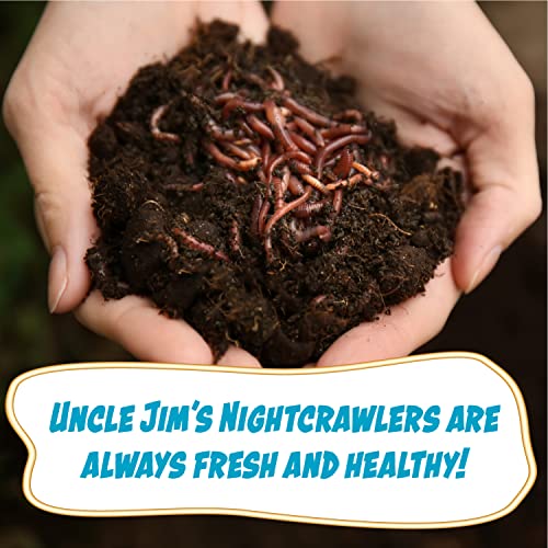 Uncle Jim's Worm Farm European Nightcrawlers Composting and Fishing Worms 1 Lb Pack