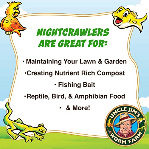 Uncle Jim's Worm Farm European Nightcrawlers Composting and Fishing Worms 1 Lb Pack