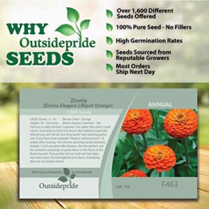 Outsidepride Zinnia Elegans Lilliput Orange Heat & Drought Tolerant Garden Cut Flowers - 1000 Seeds