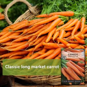 Sow Right Seeds - Imperator Carrot Seed for Planting - Non-GMO Heirloom Packet with Instructions to Plant a Home Vegetable Garden, Great Gardening Gift (4)