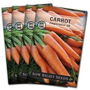 sow right seeds – imperator carrot seed for planting – non-gmo heirloom packet with instructions to plant a home vegetable garden, great gardening gift (4)