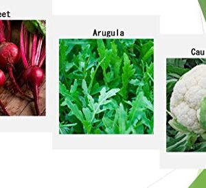 Premium Winter Vegetable Seeds for Planting Organic Non-GMO Heirloom Seeds 12 Varieties: Radish, Pea, Broccoli, Beet, Carrot, Cauliflower, Green Bean, Kale, Arugula, Cabbage, Asparagus, Brussel Sprout