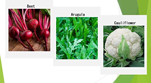 Premium Winter Vegetable Seeds for Planting Organic Non-GMO Heirloom Seeds 12 Varieties: Radish, Pea, Broccoli, Beet, Carrot, Cauliflower, Green Bean, Kale, Arugula, Cabbage, Asparagus, Brussel Sprout