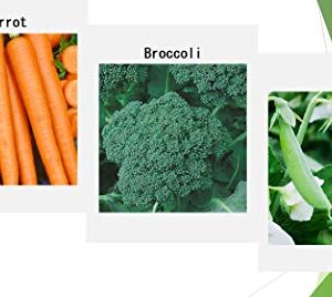 Premium Winter Vegetable Seeds for Planting Organic Non-GMO Heirloom Seeds 12 Varieties: Radish, Pea, Broccoli, Beet, Carrot, Cauliflower, Green Bean, Kale, Arugula, Cabbage, Asparagus, Brussel Sprout