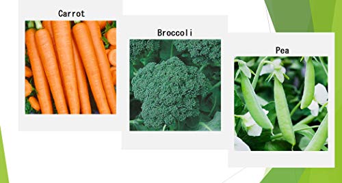 Premium Winter Vegetable Seeds for Planting Organic Non-GMO Heirloom Seeds 12 Varieties: Radish, Pea, Broccoli, Beet, Carrot, Cauliflower, Green Bean, Kale, Arugula, Cabbage, Asparagus, Brussel Sprout