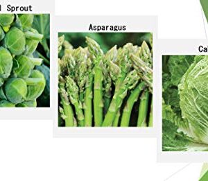 Premium Winter Vegetable Seeds for Planting Organic Non-GMO Heirloom Seeds 12 Varieties: Radish, Pea, Broccoli, Beet, Carrot, Cauliflower, Green Bean, Kale, Arugula, Cabbage, Asparagus, Brussel Sprout