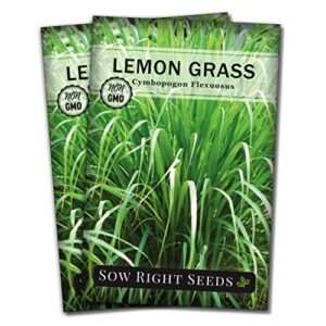 sow right seeds – lemon grass seed for planting – non-gmo heirloom seeds – full instructions for easy planting and growing an herb garden, indoor or outdoors; great gardening gift (2)