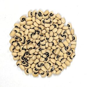 California Blackeye Cowpea Bush Bean Seeds for Planting, 50+ Heirloom Seeds Per Packet, (Isla's Garden Seeds), Non GMO Seeds, Botanical Name: Vigna Unguiculata, Great Bush Bean Variety