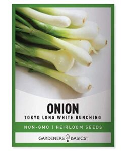 green onion seeds for planting – tokyo long white bunching is a great heirloom, non-gmo vegetable variety- 200 seeds great for outdoor spring, winter and fall gardening by gardeners basics