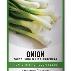 Green Onion Seeds for Planting - Tokyo Long White Bunching is A Great Heirloom, Non-GMO Vegetable Variety- 200 Seeds Great for Outdoor Spring, Winter and Fall Gardening by Gardeners Basics