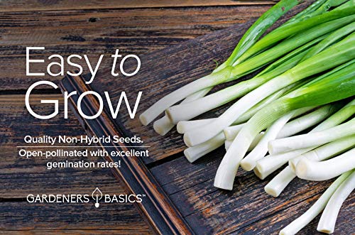 Green Onion Seeds for Planting - Tokyo Long White Bunching is A Great Heirloom, Non-GMO Vegetable Variety- 200 Seeds Great for Outdoor Spring, Winter and Fall Gardening by Gardeners Basics