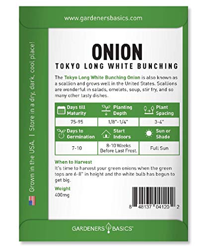 Green Onion Seeds for Planting - Tokyo Long White Bunching is A Great Heirloom, Non-GMO Vegetable Variety- 200 Seeds Great for Outdoor Spring, Winter and Fall Gardening by Gardeners Basics