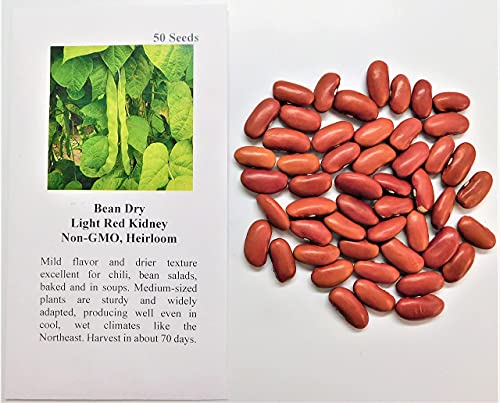 David's Garden Seeds Bean Dry Kidney Red FBA-00061 (Red) 50 Non-GMO, Heirloom Seeds