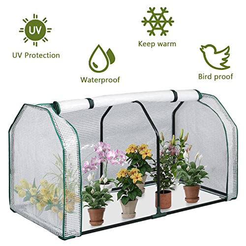 LYNSLIM 2pcs Mini Greenhouse, 48" x24x 21.6",PE Cover,Large Zipper Doors,Indoor Outdoor Garden Green House Flowerpot Cover