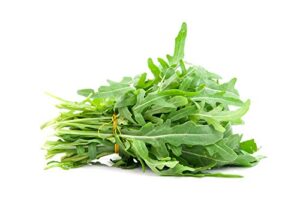“roquette arugula” seeds for planting, 1000+ heirloom seeds per packet, non gmo seeds, (isla’s garden seeds), botanical name: eruca vesicaria, great home garden gift