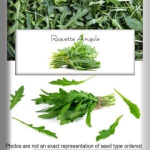 "Roquette Arugula" Seeds for Planting, 1000+ Heirloom Seeds Per Packet, Non GMO Seeds, (Isla's Garden Seeds), Botanical Name: Eruca vesicaria, Great Home Garden Gift