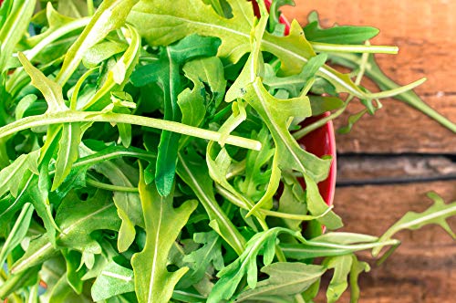 "Roquette Arugula" Seeds for Planting, 1000+ Heirloom Seeds Per Packet, Non GMO Seeds, (Isla's Garden Seeds), Botanical Name: Eruca vesicaria, Great Home Garden Gift