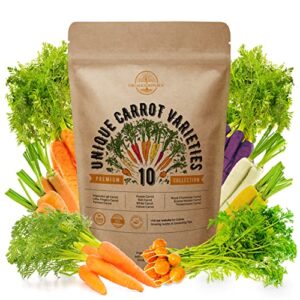 10 carrot seeds variety for planting in home garden indoor & outdoors. plant non gmo heirloom carrots garden seeds rare cosmic, rainbow, purple carrot seed packets in bulk vegetable seeds variety pack