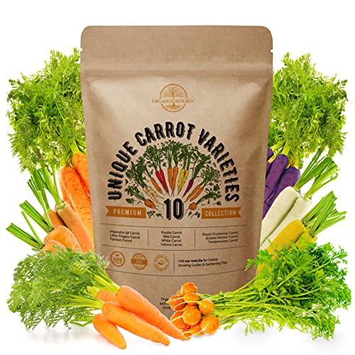 10 Carrot Seeds Variety for Planting in Home Garden Indoor & Outdoors. Plant Non GMO Heirloom Carrots Garden Seeds Rare Cosmic, Rainbow, Purple Carrot Seed Packets in Bulk Vegetable Seeds Variety Pack