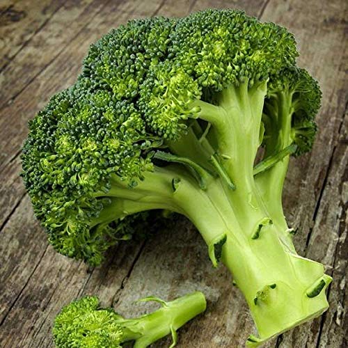 David's Garden Seeds Broccoli Waltham FBA-6339 (Green) 50 Non-GMO, Heirloom Seeds