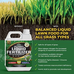 PetraTools Liquid Iron for Lawns (32oz) Liquid 16-4-8 Lawn (32oz)