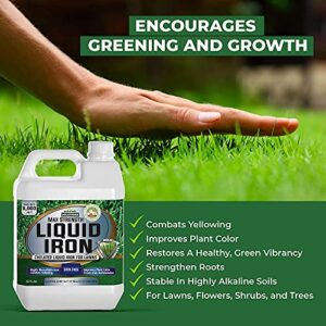PetraTools Liquid Iron for Lawns (32oz) Liquid 16-4-8 Lawn (32oz)