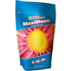 maxi bloom 2.2 lb