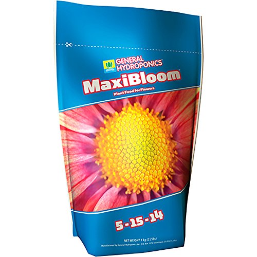 MAXI BLOOM 2.2 LB