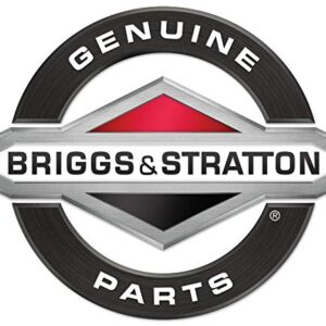 Briggs & Stratton 698109 Lawn & Garden Equipment Engine Fuel Tank Cap and Gauge Genuine Original Equipment Manufacturer (OEM) Part