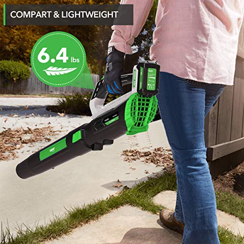 AIPER SMART Leaf Blower 20V, Electric Cordless Handheld Blower 330 CFM, Up to 26 Minutes Blowing with 2 Li-on Battery-Powered, Lightweight & Powerful for Yard, Sidewalk, Driveway, Garden Cleaning