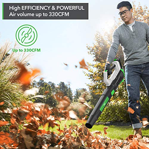 AIPER SMART Leaf Blower 20V, Electric Cordless Handheld Blower 330 CFM, Up to 26 Minutes Blowing with 2 Li-on Battery-Powered, Lightweight & Powerful for Yard, Sidewalk, Driveway, Garden Cleaning