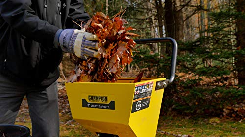 Champion Power Equipment 200905 3-Inch Portable Chipper-Shredder with Collection Bag