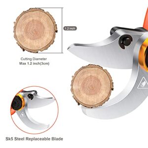 OUPINLH Electric Pruning Shears with 2PCS 21V Lithium Battery 2000mAh,1.2Inch(30mm) Cutting Diameter Cordless Battery Powered Pruner with LCD Display for Garden Branch,6-8 Working Hours