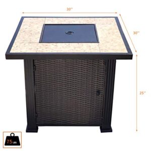 Summerville 30" Propane Gas Fire Pit Table with Cover 50,000 BTU Square Fire Bowl Steel,Intellective Control Outdoor Fire Table for Balcony/Garden/Patio/Courtyard