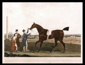 tiresias was bred by his grace the duke of portland in 1816 was got by soothsayer out of sledge. at epsom he won the derby stakes beating 15 others among whom were sultan, euphrates, the dominic, c